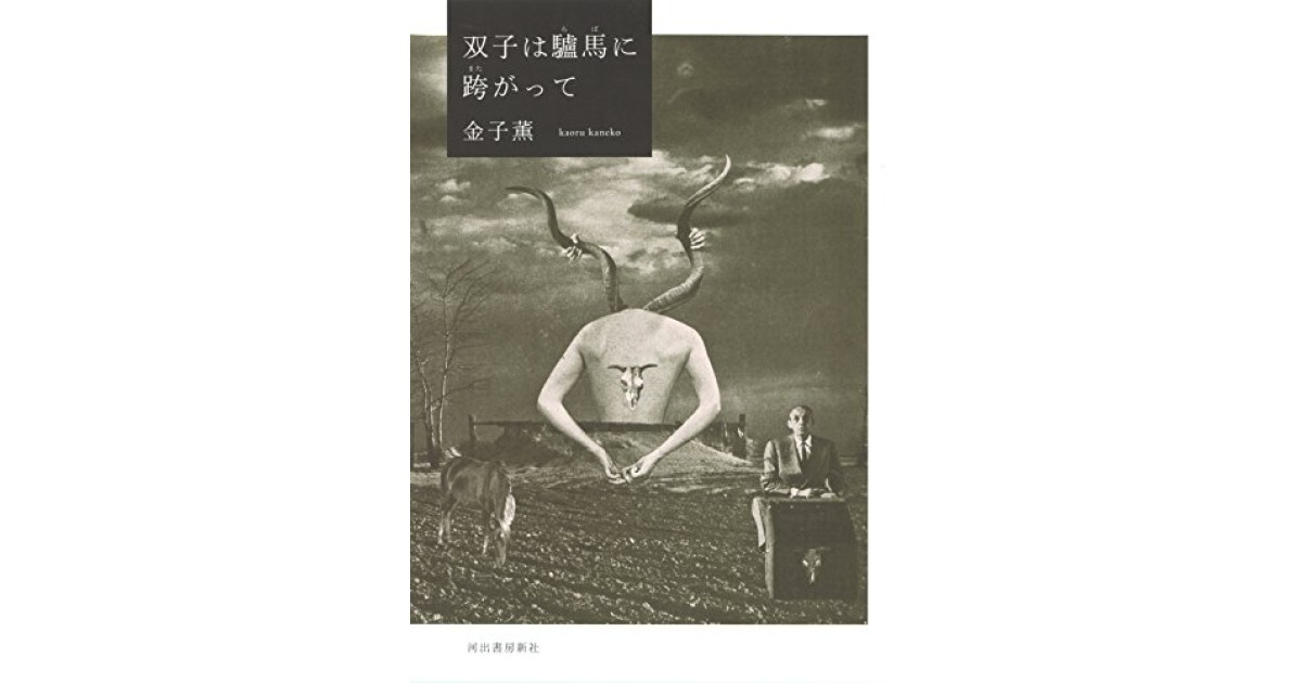 『双子は驢馬に跨がって』(河出書房新社) - 著者: 金子 薫 - 陣野 俊史による書評