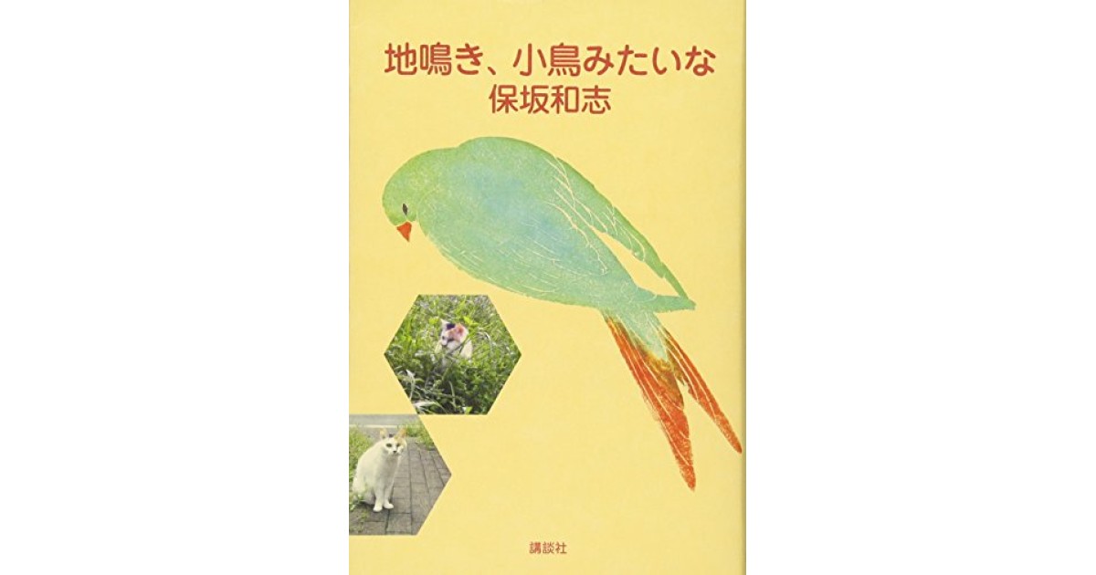 『地鳴き、小鳥みたいな』(講談社) - 著者: 保坂 和志 - 陣野 俊史による書評