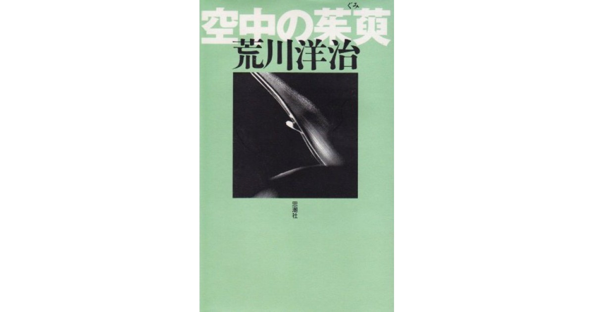 空中の茱萸 思潮社 著者 荒川 洋治 豊崎 由美による書評 好きな書評家 読ませる書評 All Reviews