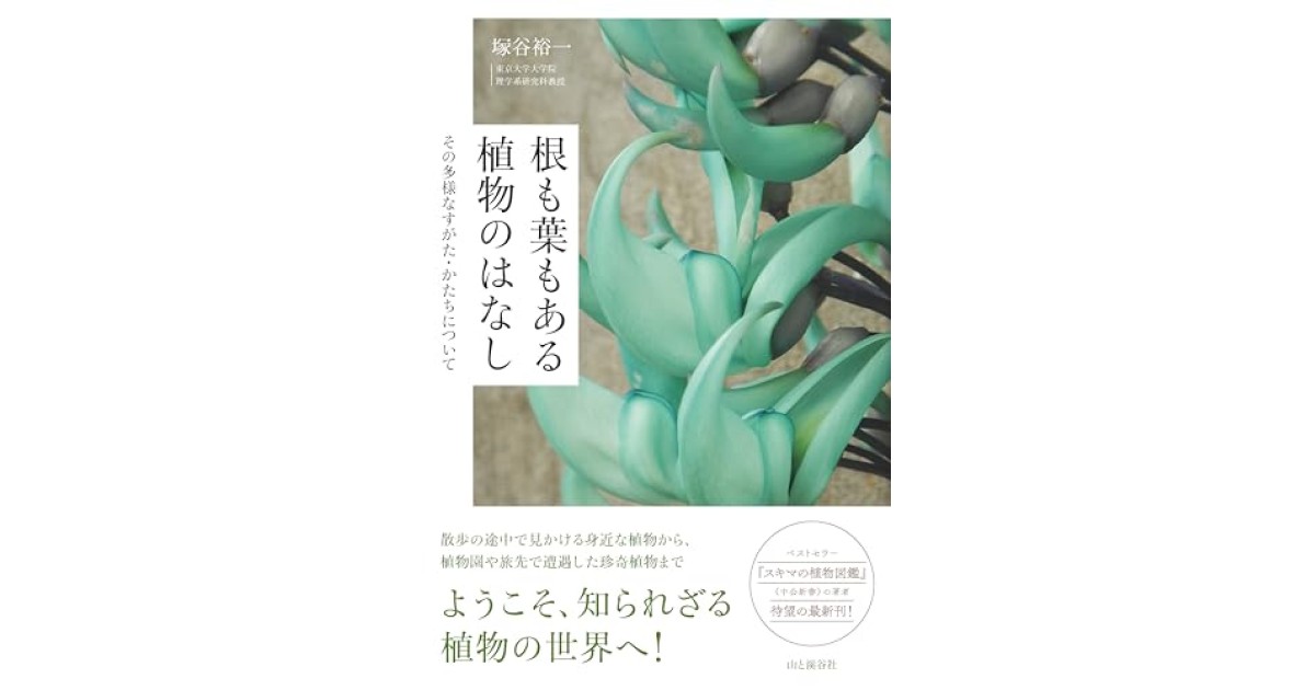 根も葉もある植物のはなし その多様なすがた・かたちについて』(山と