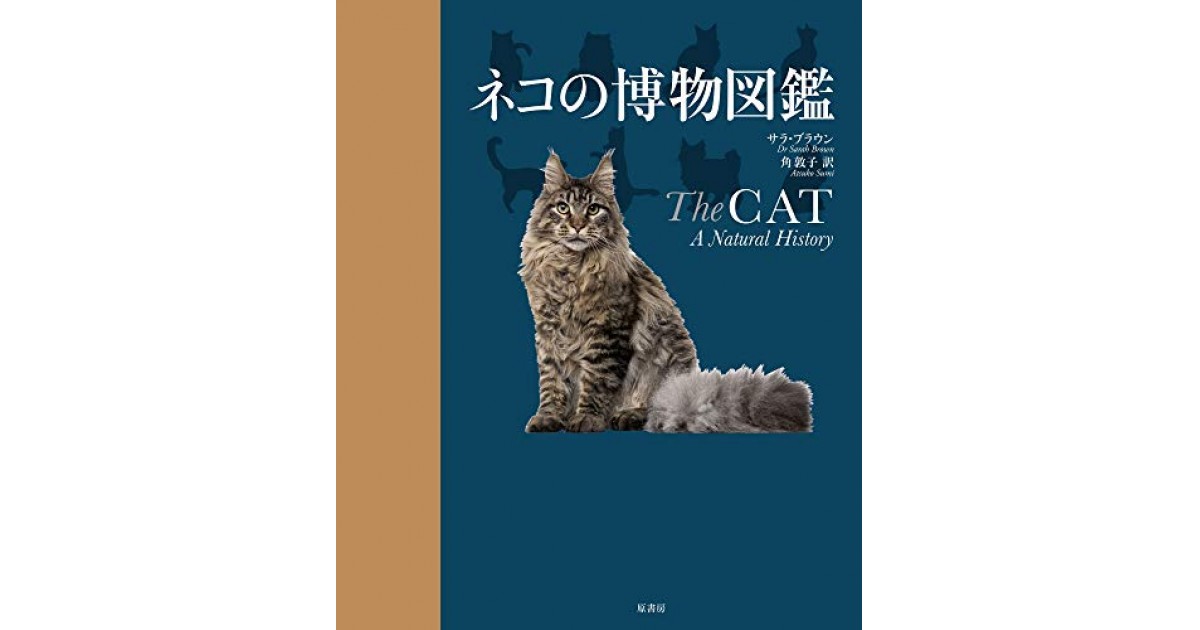 ネコの博物図鑑』(原書房) - 著者：サラ・ブラウン 翻訳：角 敦子 