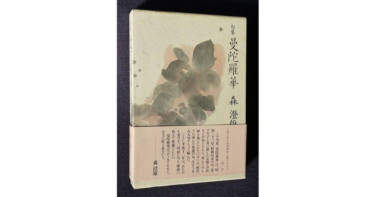 日本名句集成 新潮日本古典集成〈新装版〉雨月物語 癇癖談 | 浅野 三平 |本 | 通販