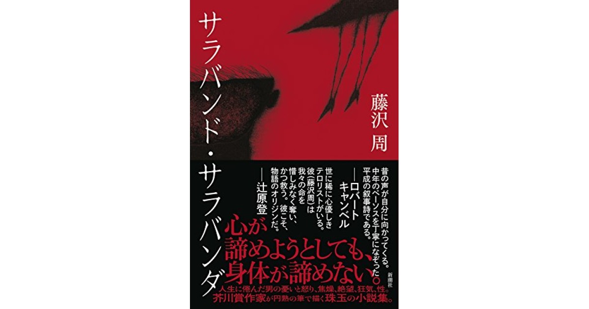 『サラバンド・サラバンダ』(新潮社) - 著者: 藤沢 周 - 陣野 俊史による書評