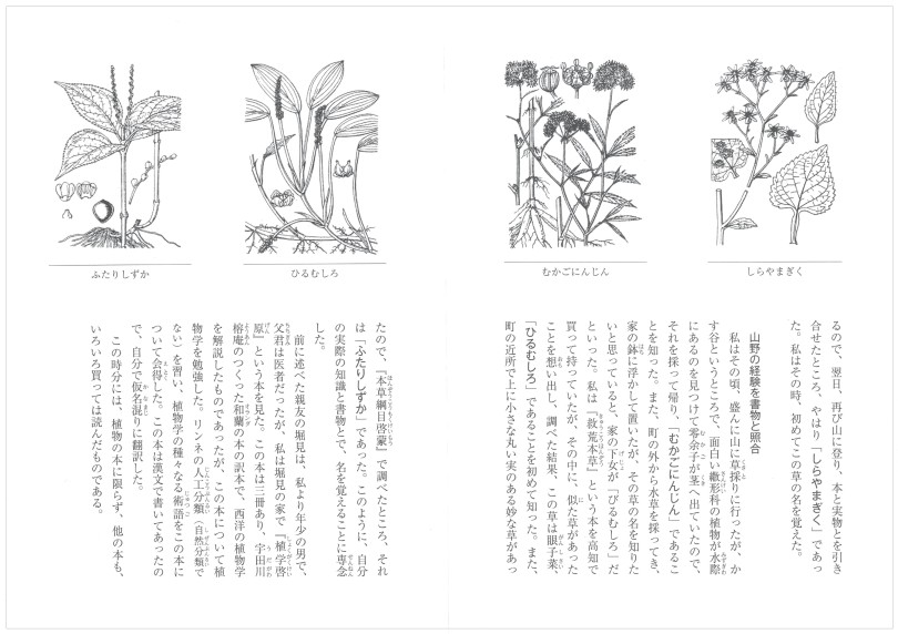 定番人気HOT牧野日本植物図鑑 (復刻版 初版) 語学・辞書・学習参考書